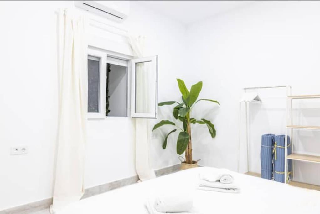 La Casa Del Mercader By Gades Gestion Καντίζ Εξωτερικό φωτογραφία